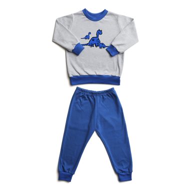 Grey/Blue Pyjamas Dino Print